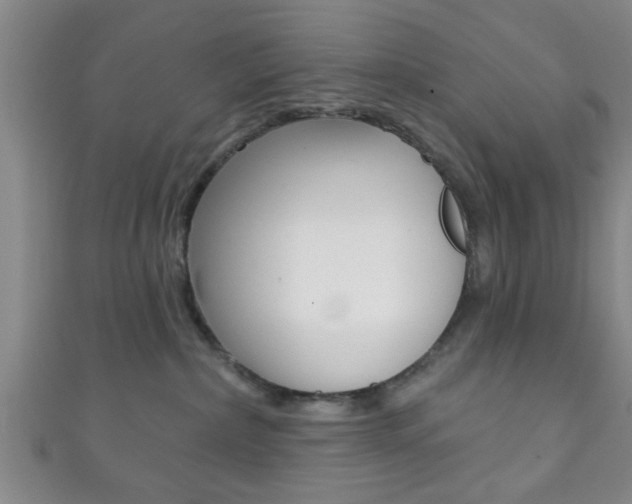 X0000111790236200907230955