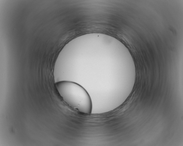 X0000111790237200907230955