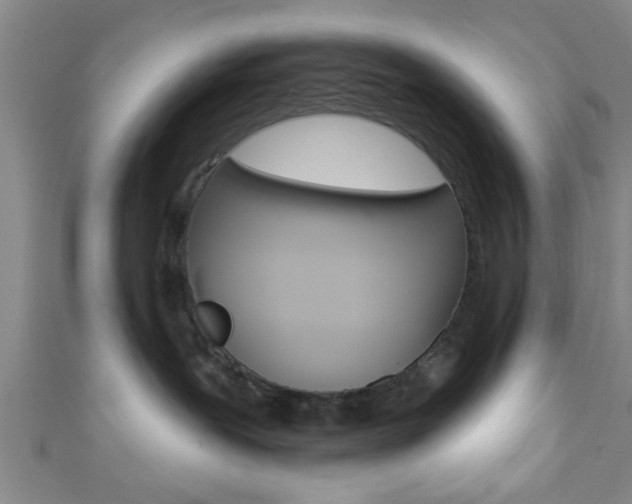 X0000111790239200907230955