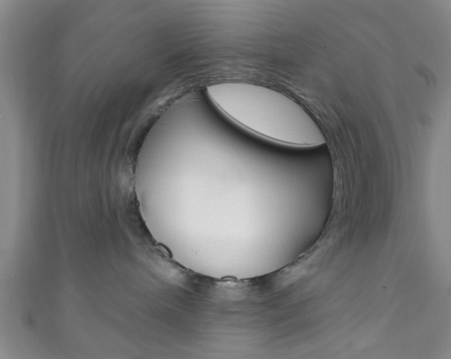 X0000111790240200907230955