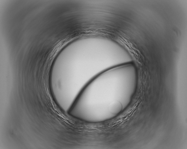 X0000111790241200907230954