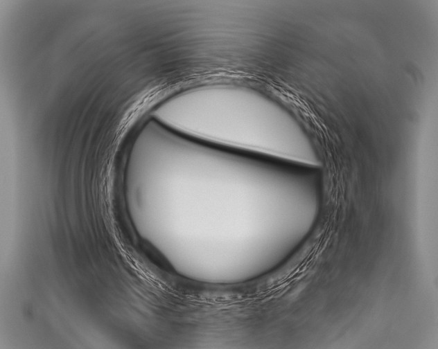 X0000111790242200907230954