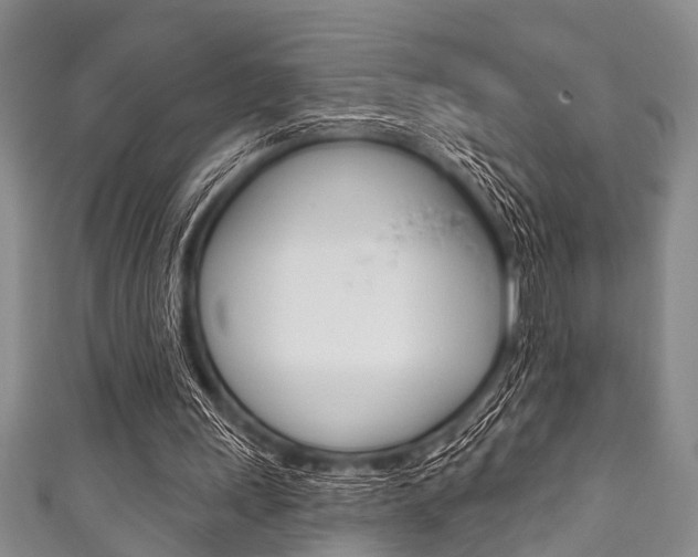 X0000111790243200907230954