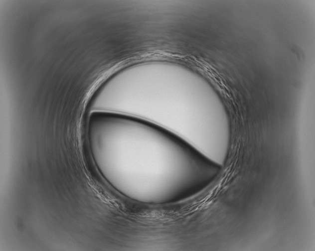 X0000111790244200907230954