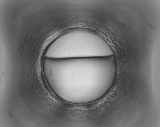 X0000111790245200907230954