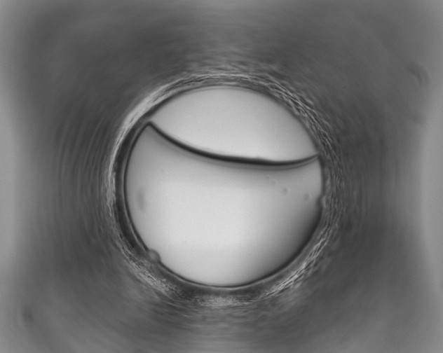 X0000111790246200907230954