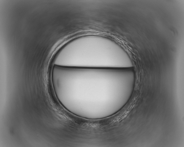 X0000111790247200907230954