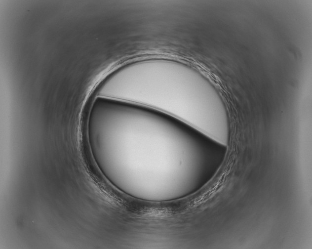X0000111790248200907230955