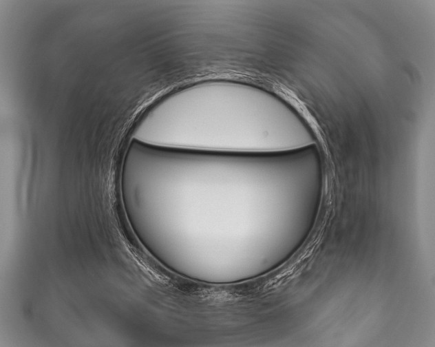 X0000111790249200907230955