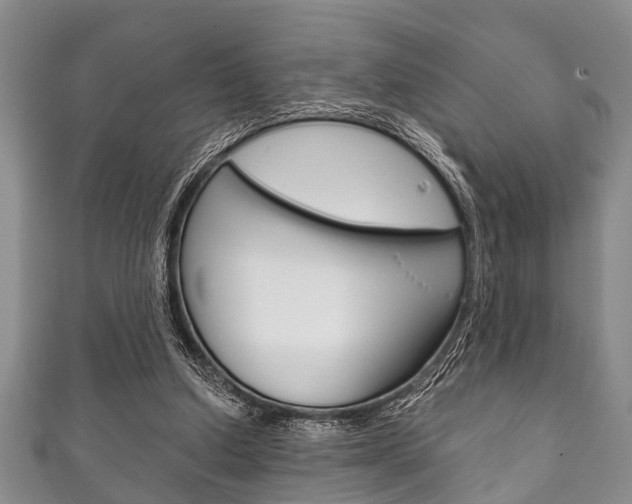 X0000111790250200907230955
