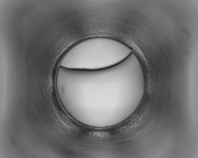 X0000111790251200907230955