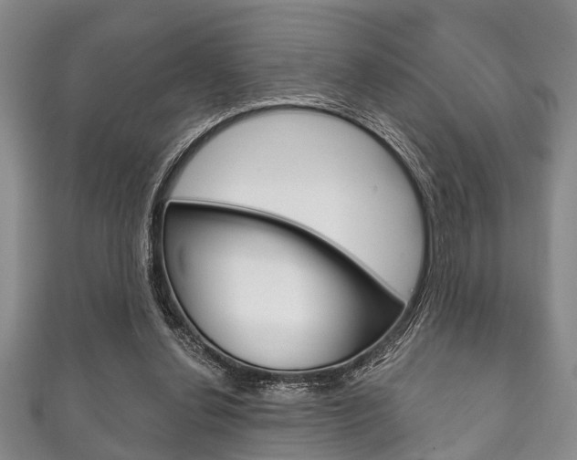 X0000111790252200907230955