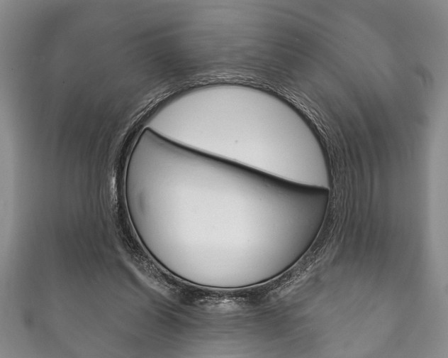 X0000111790254200907230955