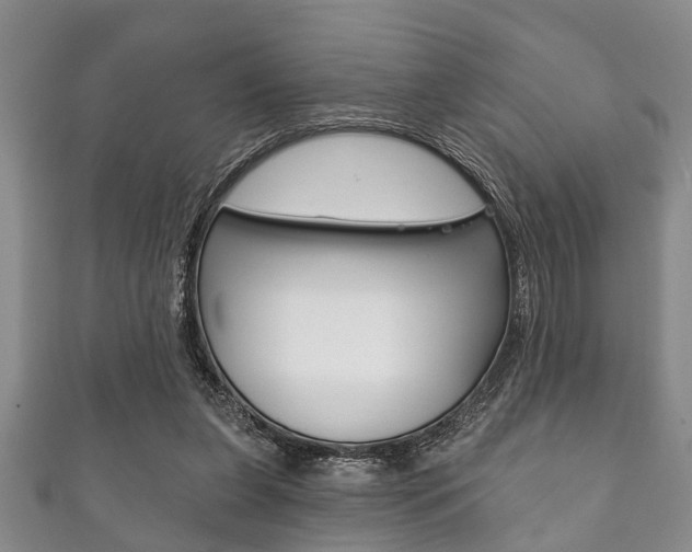 X0000111790255200907230955