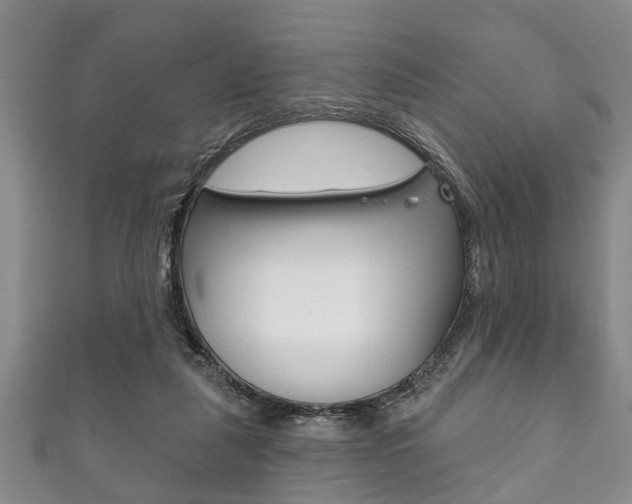 X0000111790259200907230955