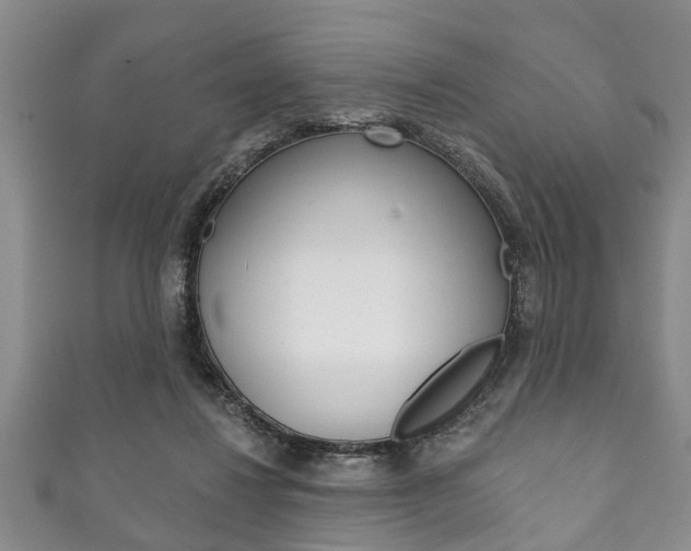 X0000111790260200907230955