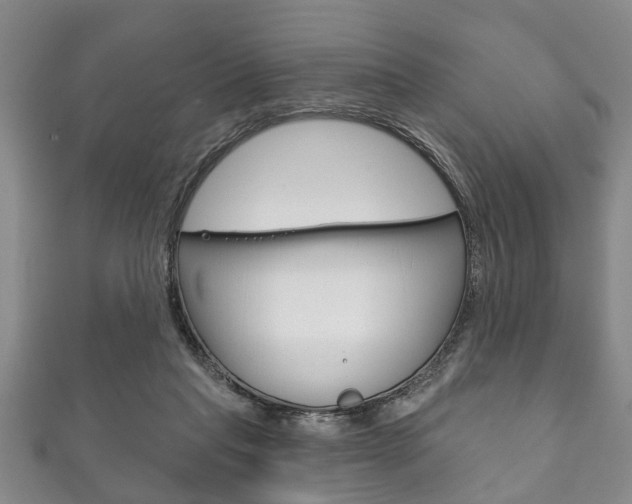 X0000111790261200907230955