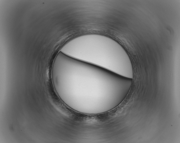 X0000111790262200907230955