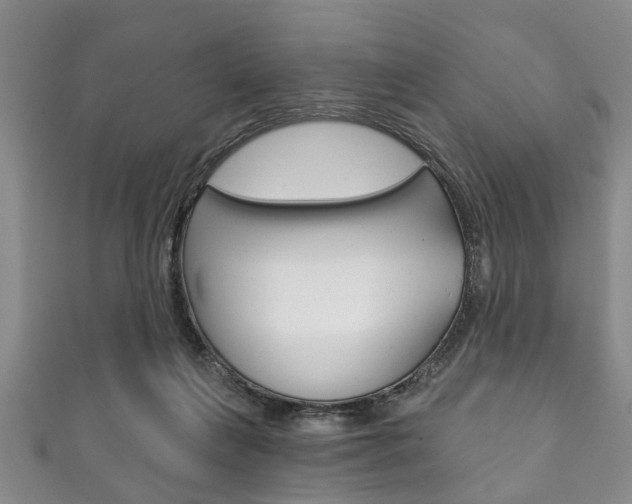 X0000111790263200907230955