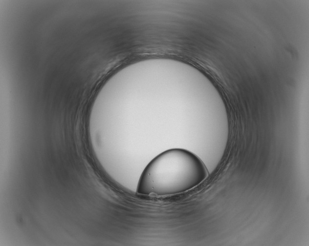 X0000111790264200907230955