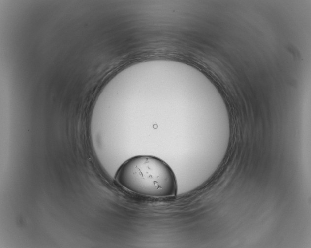X0000111790268200907230955