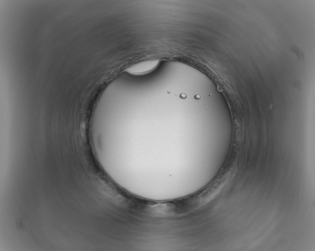 X0000111790269200907230955