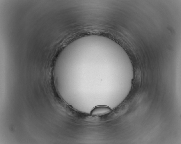 X0000111790271200907230955