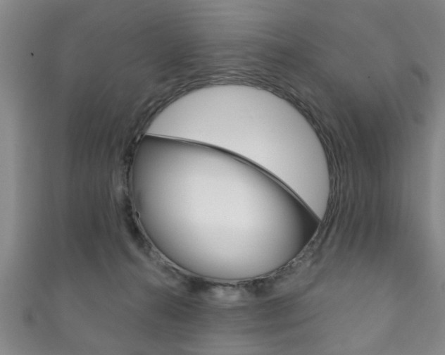 X0000111790272200907230955