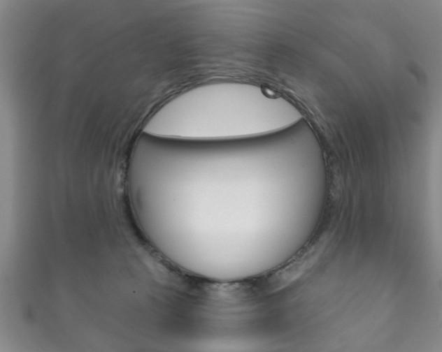 X0000111790273200907230955