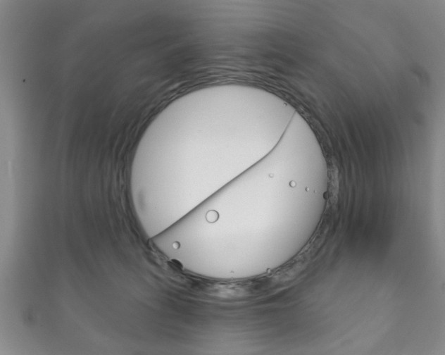 X0000111790275200907230955