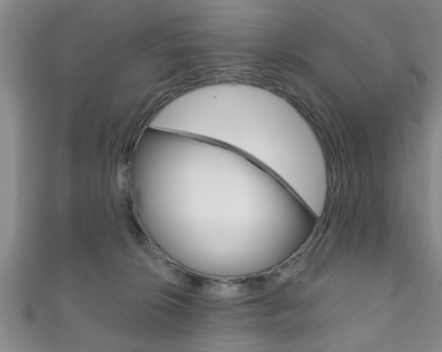 X0000111790276200907230955