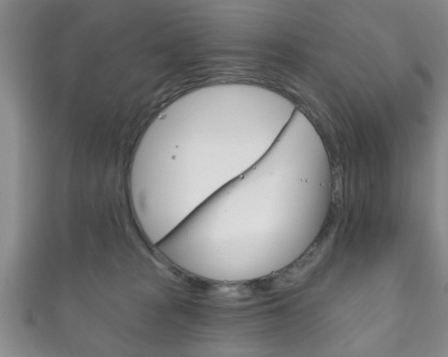 X0000111790277200907230955