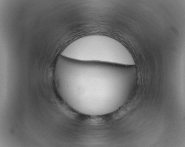 X0000111790278200907230955