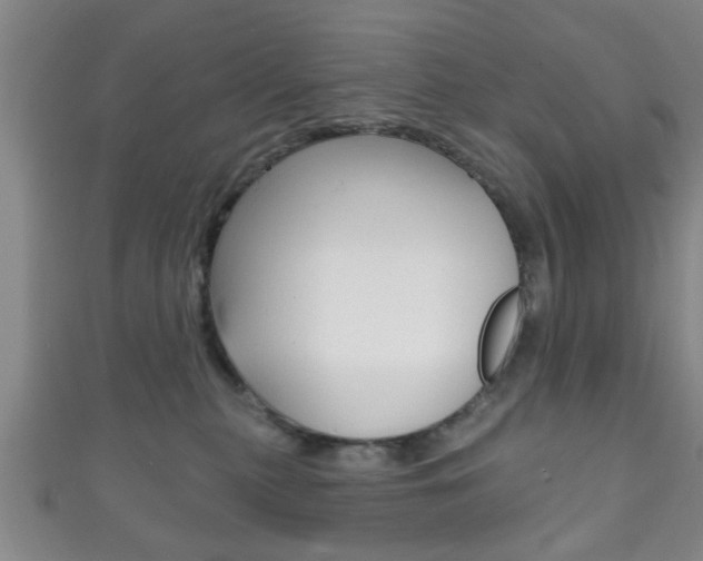 X0000111790279200907230955