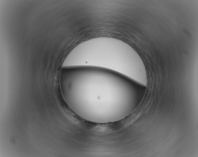 X0000111790280200907230955