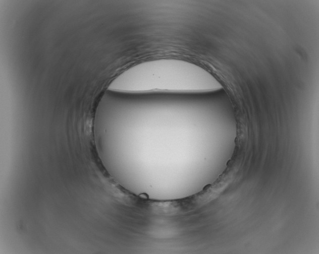 X0000111790281200907230955