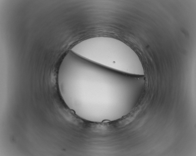 X0000111790282200907230955
