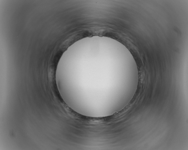 X0000111790283200907230955