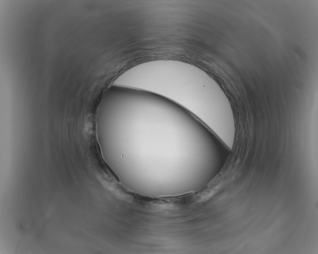 X0000111790284200907230955