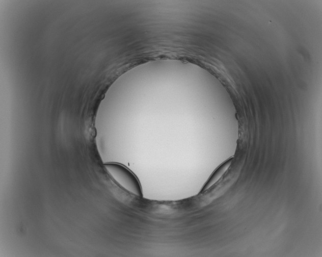 X0000111790285200907230955