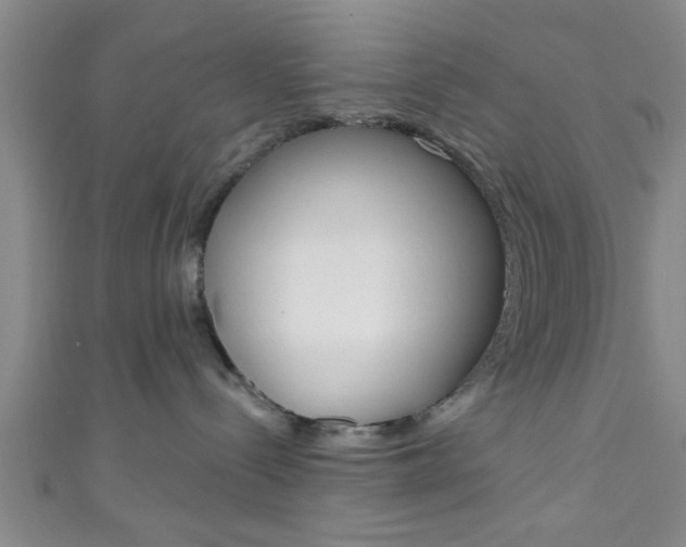X0000111790288200907230955