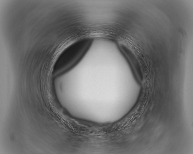 X0000111790289200907230954