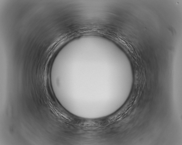 X0000111790290200907230954