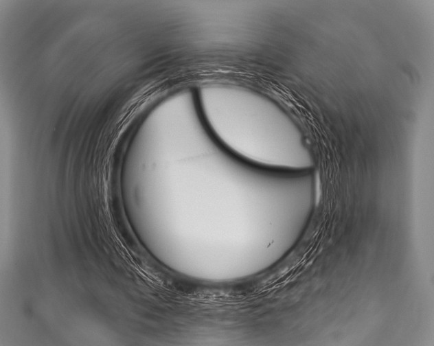 X0000111790291200907230954