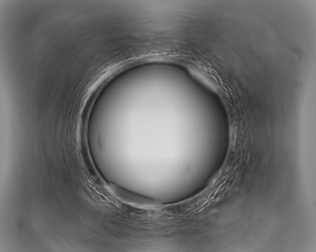 X0000111790292200907230954