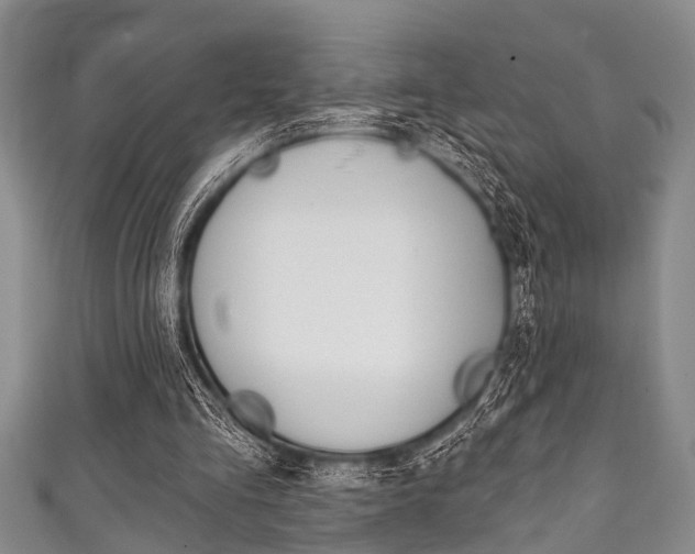 X0000111790293200907230954