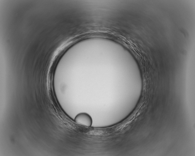 X0000111790294200907230954