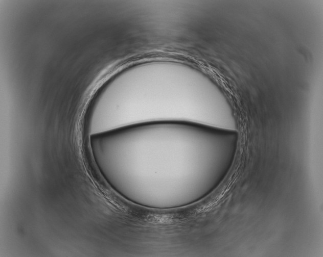 X0000111790295200907230954