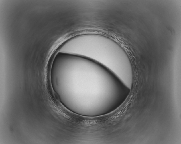X0000111790296200907230954