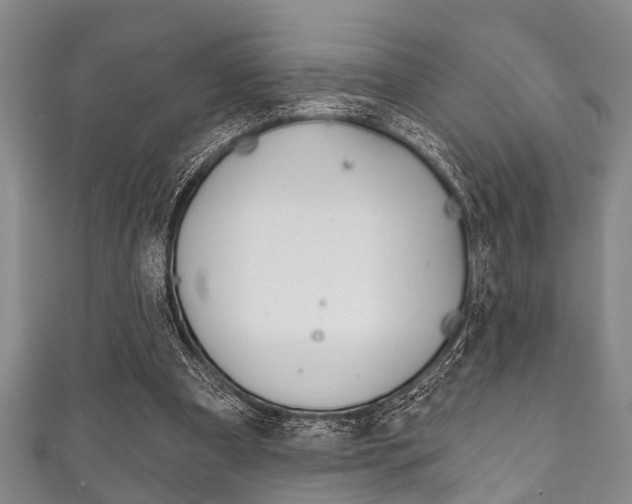 X0000111790297200907230954